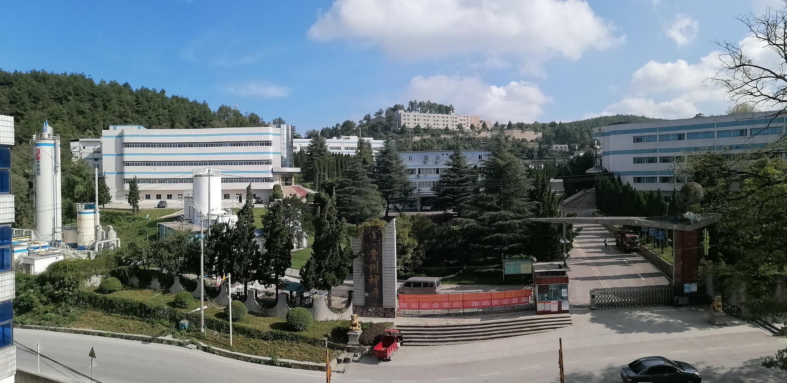 金桥.jpg 金桥.jpg